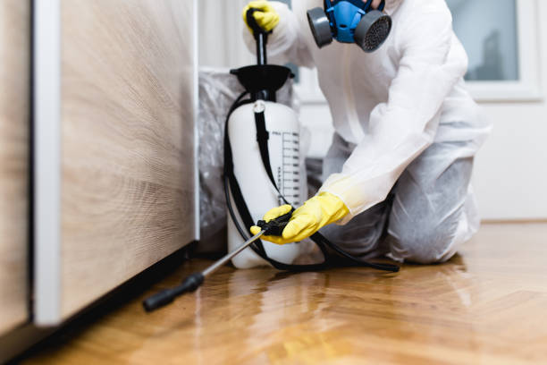 Best Affordable Pest Control Services  in Wellsboro, PA