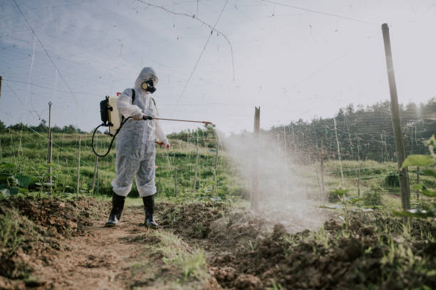 Best Affordable Pest Control Services  in Wellsboro, PA