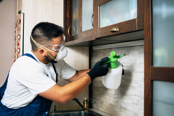 Best Emergency Pest Control  in Wellsboro, PA