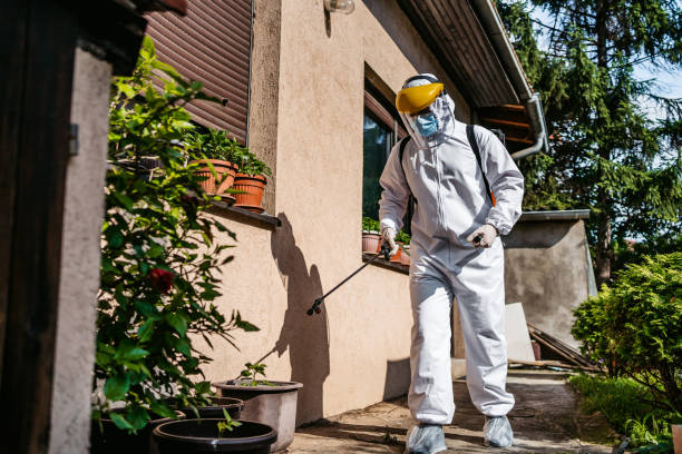 Best Rat Extermination Near Me  in Wellsboro, PA