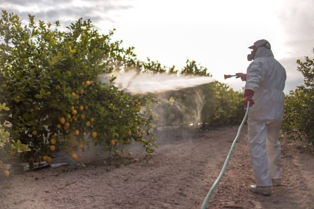 Best Mosquito Control Services  in Wellsboro, PA