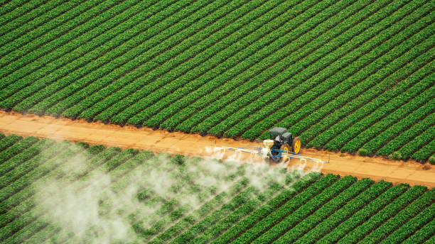 Best Ant Control Services  in Wellsboro, PA