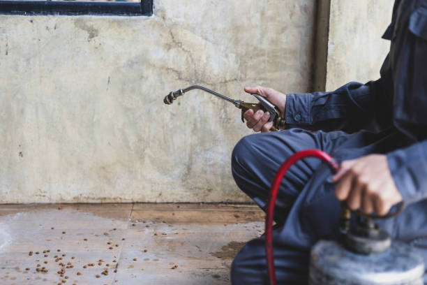 Best Termite Control Services  in Wellsboro, PA