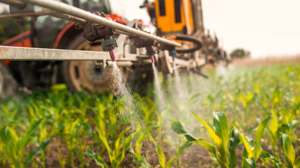 Reliable Wellsboro, PA Pest Control Solutions