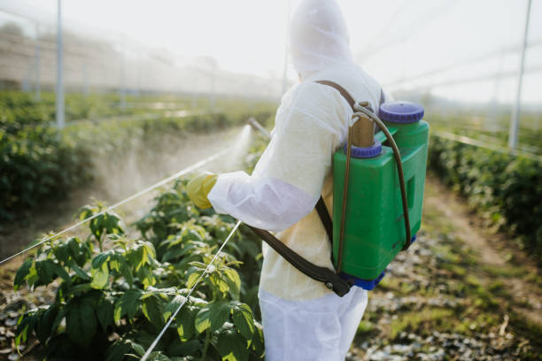  Wellsboro, PA Pest Control Pros
